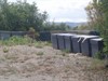 Apiary, 37 hives in total. 12 mothers