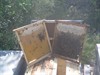 intermediate valoration hives overfeeded with beecomplet.