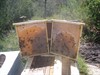 intermediate valoration hives overfeeded with beecomplet.