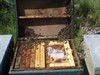 intermediate valoration hives overfeeded with beecomplet.